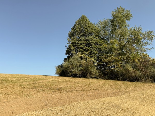 Tract 5 at Wolf Hill Estates property photo