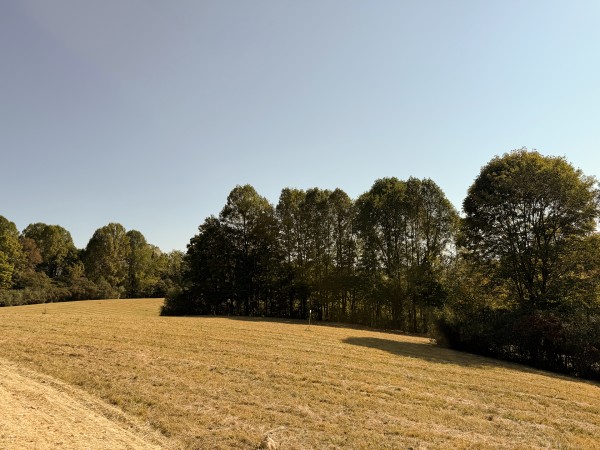 Tract 5 at Wolf Hill Estates property photo