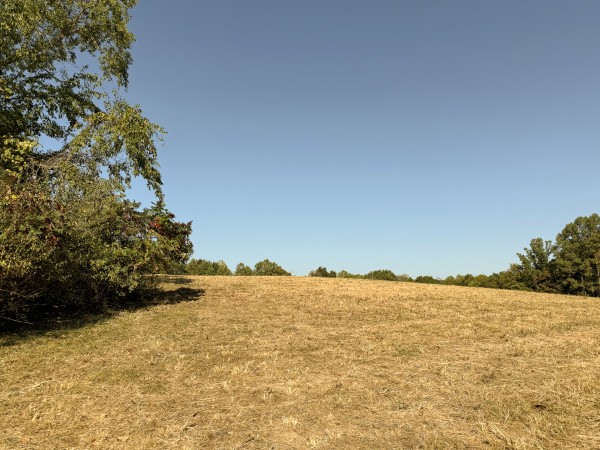 Tract 5 at Wolf Hill Estates property photo
