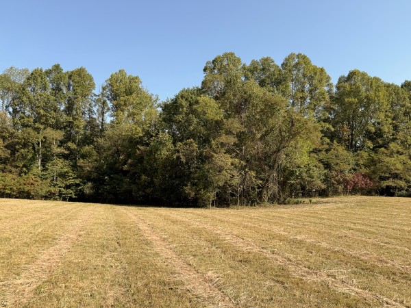 Tract 5 at Wolf Hill Estates property photo