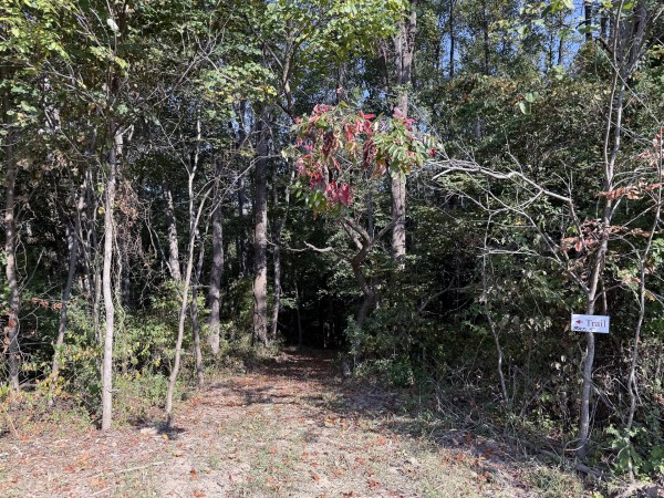 Tract 5 at Wolf Hill Estates property photo