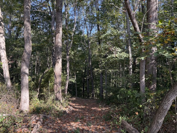 Tract 5 at Wolf Hill Estates property photo