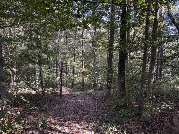 Tract 5 at Wolf Hill Estates property photo