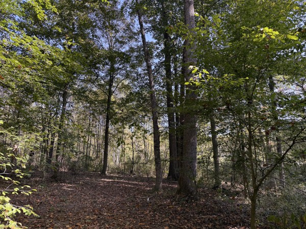 More of Tract 5 at Wolf Hill Estates