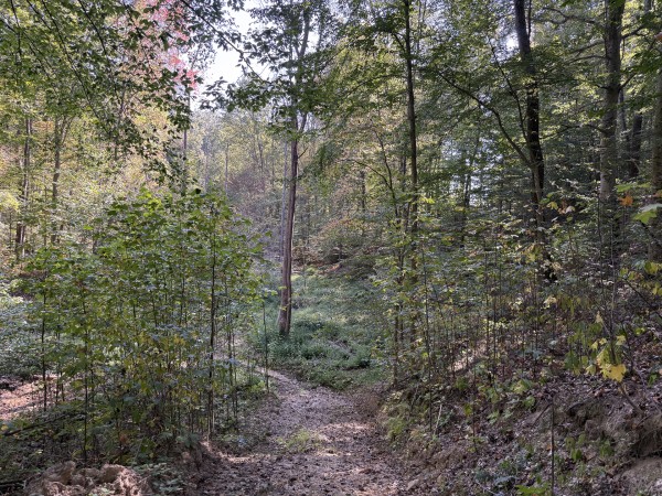 Tract 5 at Wolf Hill Estates property photo