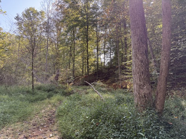 Tract 5 at Wolf Hill Estates property photo