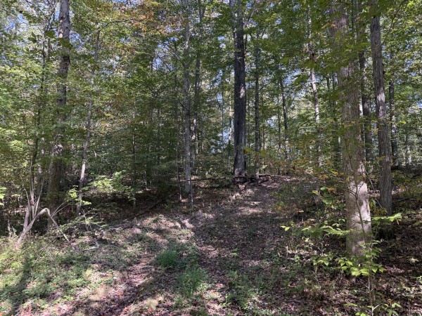 Tract 5 at Wolf Hill Estates property photo