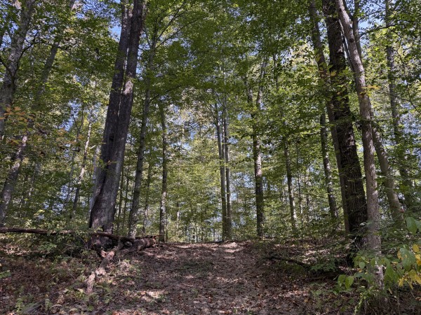 Tract 5 at Wolf Hill Estates property photo