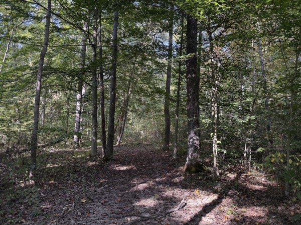 Tract 5 at Wolf Hill Estates property photo