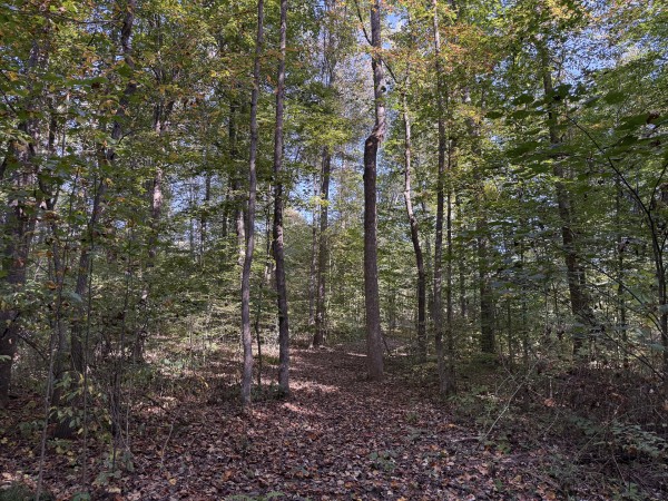 Tract 5 at Wolf Hill Estates property photo