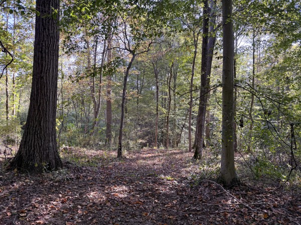 Tract 5 at Wolf Hill Estates property photo