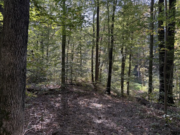 Tract 5 at Wolf Hill Estates property photo