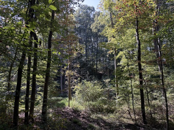 Tract 5 at Wolf Hill Estates property photo