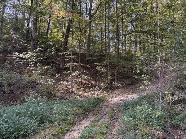 Tract 5 at Wolf Hill Estates property photo