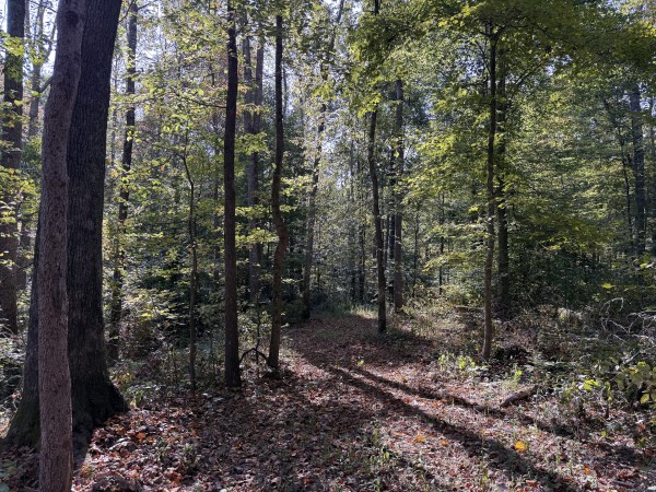 More of Tract 5 at Wolf Hill Estates