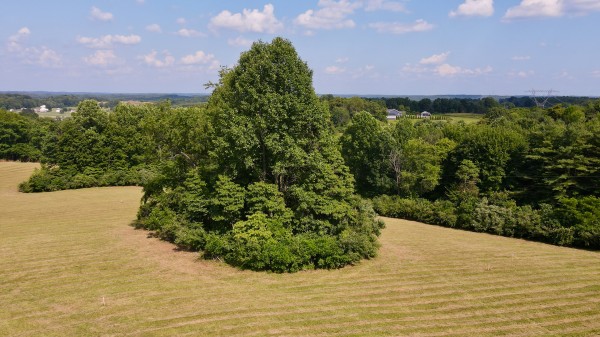 Tract 5 at Wolf Hill Estates property photo