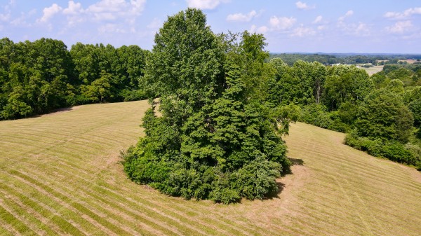 Tract 5 at Wolf Hill Estates property photo
