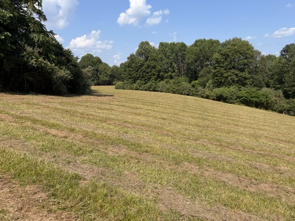 Tract 5 at Wolf Hill Estates property photo