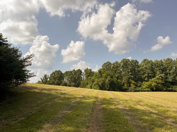 Tract 5 at Wolf Hill Estates property photo