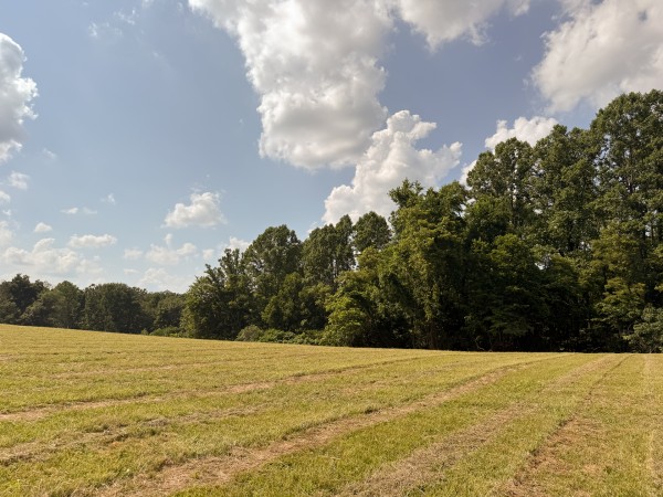 Tract 5 at Wolf Hill Estates property photo