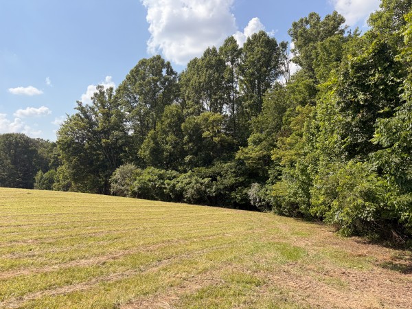 Tract 5 at Wolf Hill Estates property photo