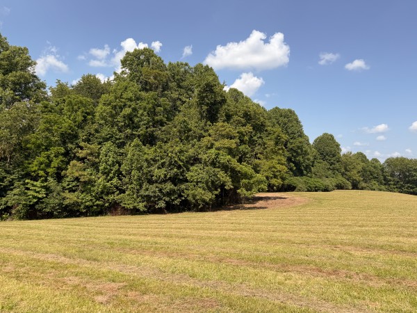 Tract 5 at Wolf Hill Estates property photo