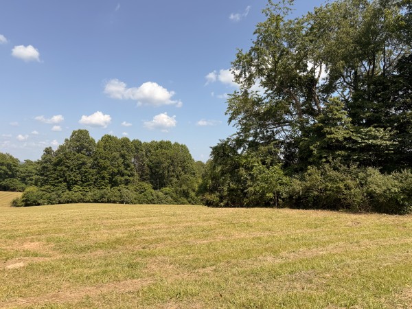 Tract 5 at Wolf Hill Estates property photo