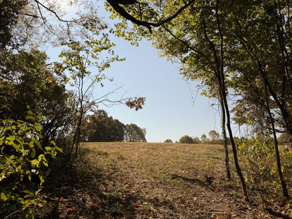 More of Tract 5 at Wolf Hill Estates