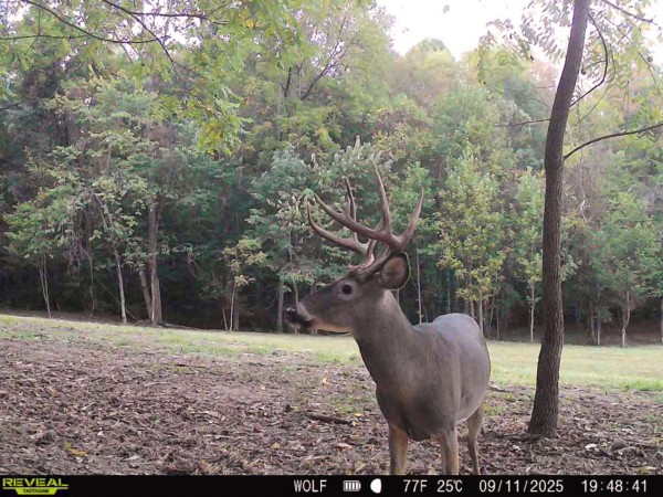Tract 5 at Wolf Hill Estates property photo