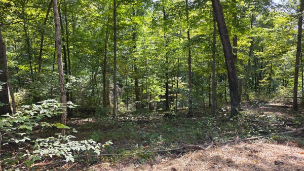 Tract C – Hocking Hideout on Monday Creek property photo