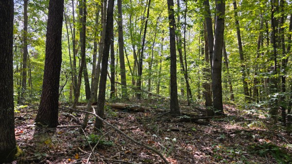 Tract C – Hocking Hideout on Monday Creek property photo