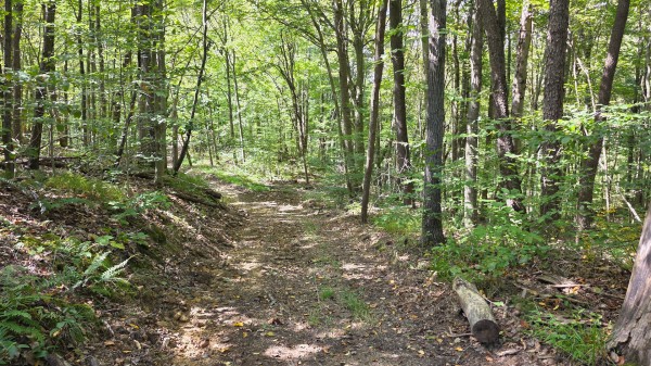 Tract C – Hocking Hideout on Monday Creek property photo