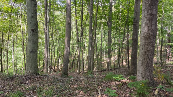Tract C – Hocking Hideout on Monday Creek property photo