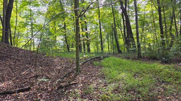 Tract C – Hocking Hideout on Monday Creek property photo