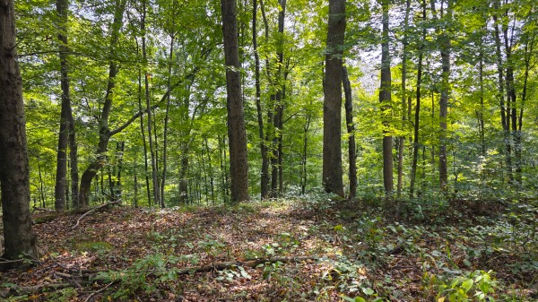 Tract C – Hocking Hideout on Monday Creek property photo