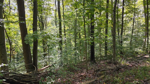 Tract C – Hocking Hideout on Monday Creek property photo