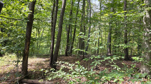 Tract C – Hocking Hideout on Monday Creek property photo