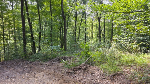 Tract C – Hocking Hideout on Monday Creek property photo