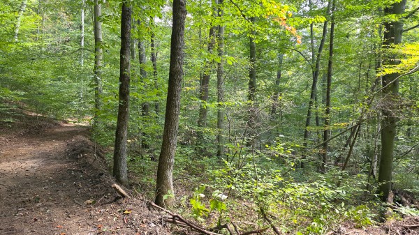 Tract C – Hocking Hideout on Monday Creek property photo