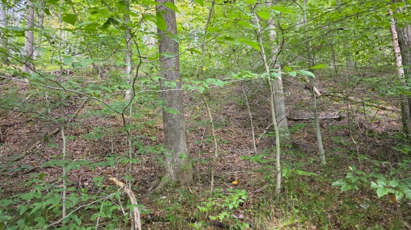 Tract C – Hocking Hideout on Monday Creek property photo