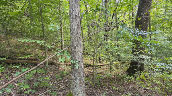Tract C – Hocking Hideout on Monday Creek property photo