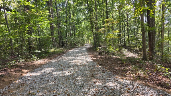 More of Tract C – Hocking Hideout on Monday Creek