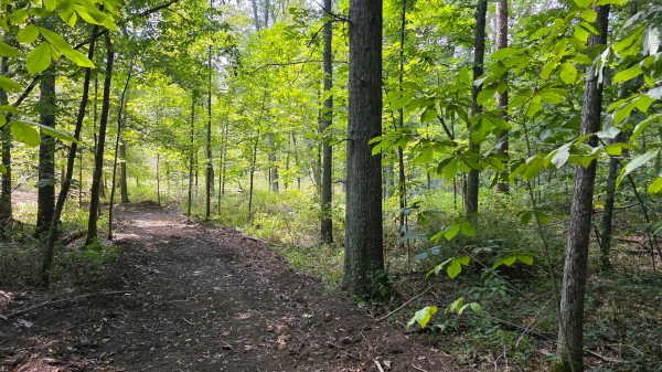 Tract C – Hocking Hideout on Monday Creek property photo