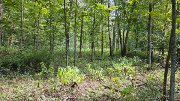 Tract C – Hocking Hideout on Monday Creek property photo