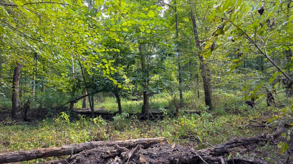 Tract C – Hocking Hideout on Monday Creek property photo