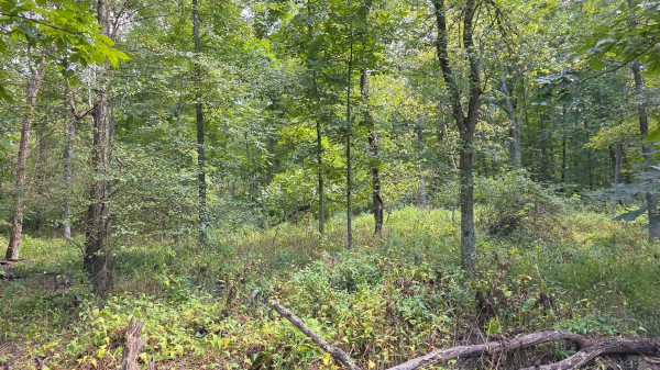Tract C – Hocking Hideout on Monday Creek property photo