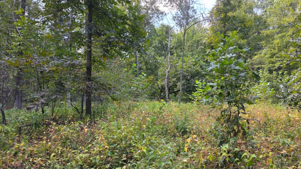 Tract C – Hocking Hideout on Monday Creek property photo