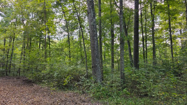 Tract C – Hocking Hideout on Monday Creek property photo