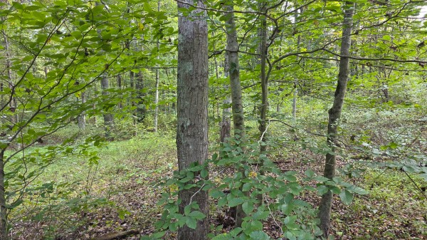 Tract C – Hocking Hideout on Monday Creek property photo