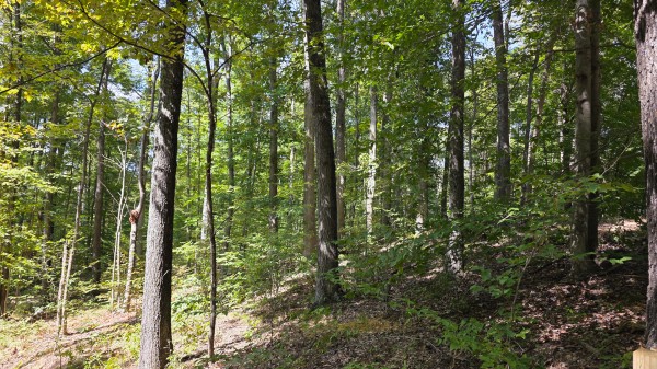 More of Tract C – Hocking Hideout on Monday Creek